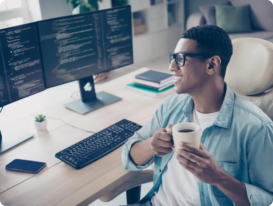 IT Professionals